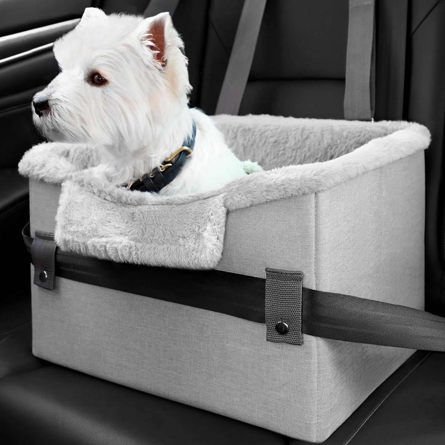 Car Accessories for Pets