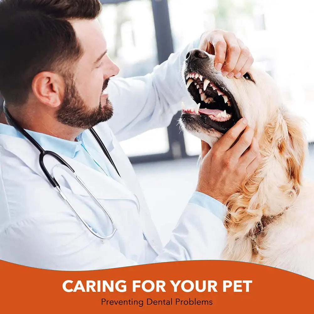 Pet Cat Dog Toothbrush Cleaning Brush for Teeth Cleaning Bad Breath Teeth Care Tool Tongue Cleaning Pet Accessories