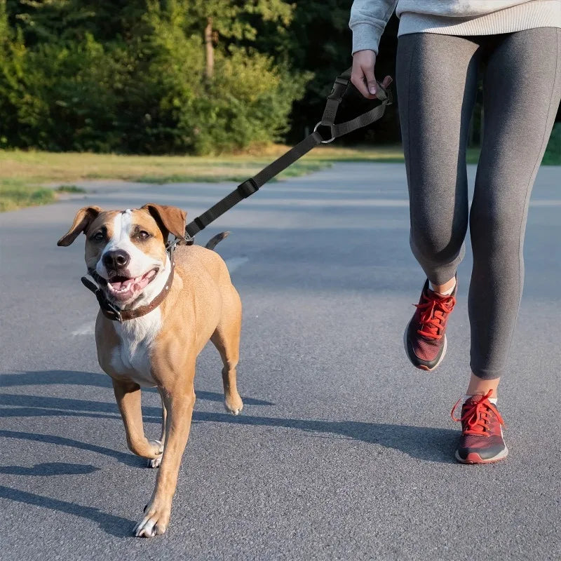 2pc Pet Cat Dog Car Seat Belt Suitable for Universal Safety Buckle Adjustable Safety Rope Dog Car Seat Belts Dog Accessoires