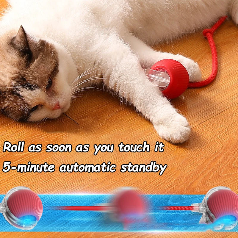 Smart Auto-Rolling Cat Ball Toy – Rechargeable, 1 or 2pcs