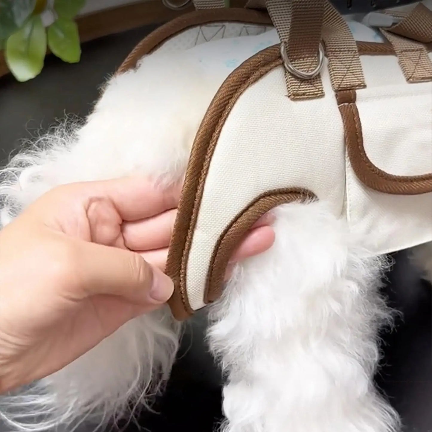 Small Dog Carrier Sling for Puppy Adjustable Breathable Pet Pouch with Pocket Hands-Free Cat Carrier Backpack for Travel Hiking