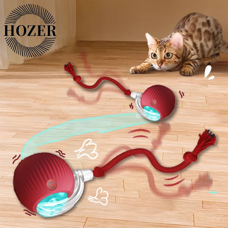 Smart Auto-Rolling Cat Ball Toy – Rechargeable, 1 or 2pcs
