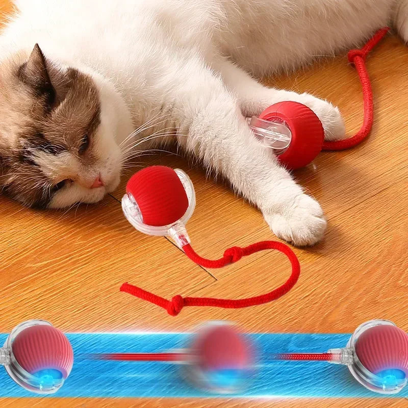 1~3pcs Cat Interactive Ball Toy Automatic Rolling Ball Tail Rechargeable Smart Pet Electric Toy Dog Cat Training Imitate Mouse