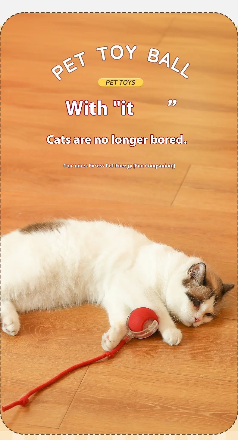 Smart Auto-Rolling Cat Ball Toy – Rechargeable, 1 or 2pcs