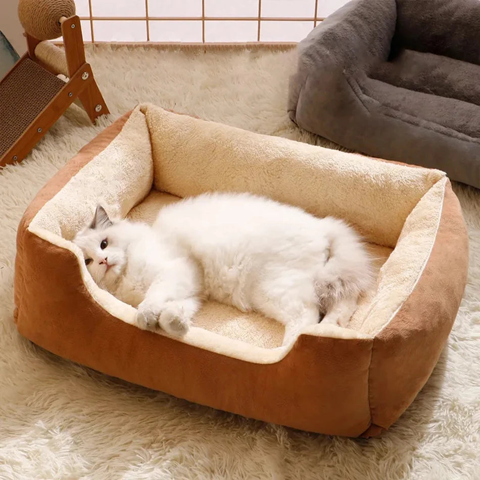 Winter Bed For Cats Pet Products Cushions Kitten  Accessories Dog All Houses Supplies Things Accessory Habitats Basket House Bed