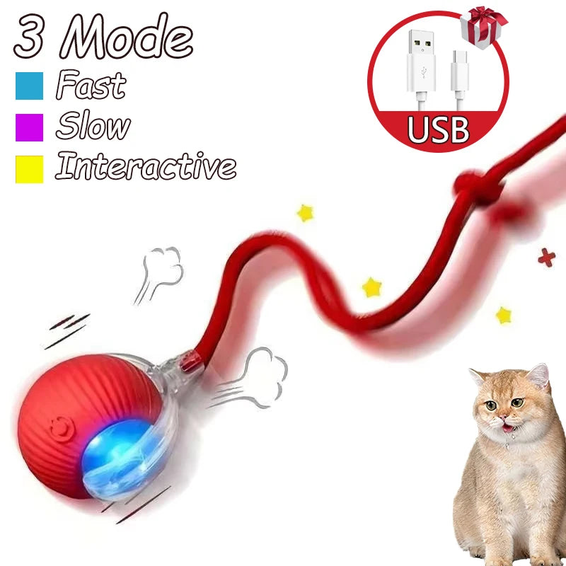 Smart Auto-Rolling Cat Ball Toy – Rechargeable, 1 or 2pcs