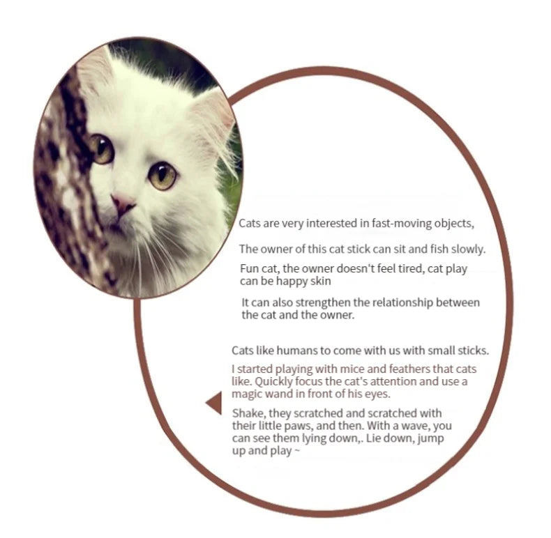 11pcs Replacement Cat Feather Toy Set Feather Replacement Head Retractable Cat Stick Cat Products