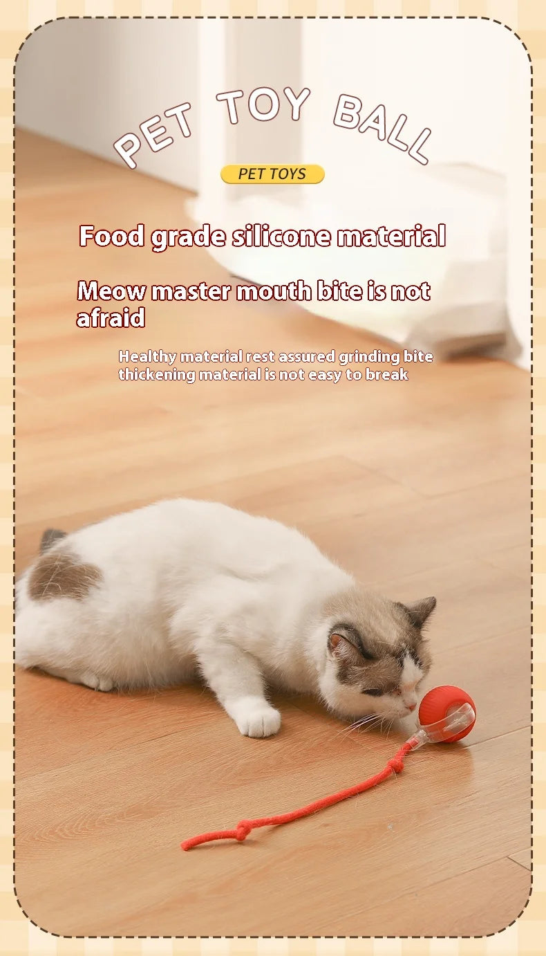 Smart Auto-Rolling Cat Ball Toy – Rechargeable, 1 or 2pcs
