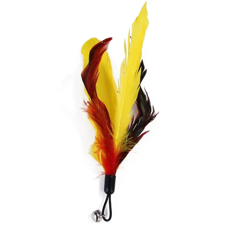 11pcs Replacement Cat Feather Toy Set Feather Replacement Head Retractable Cat Stick Cat Products