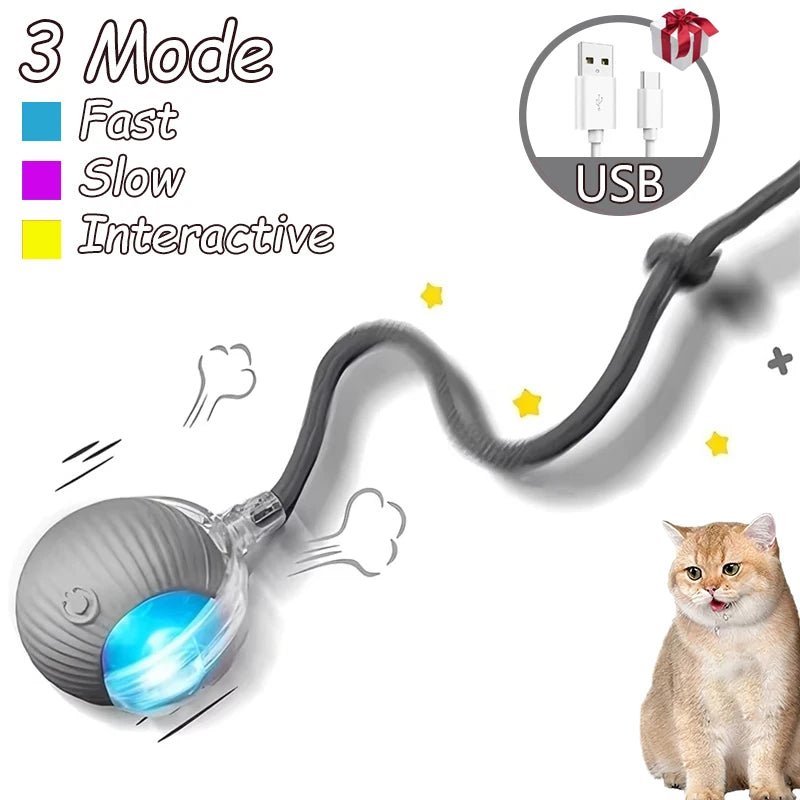 Smart Auto-Rolling Cat Ball Toy – Rechargeable, 1 or 2pcs