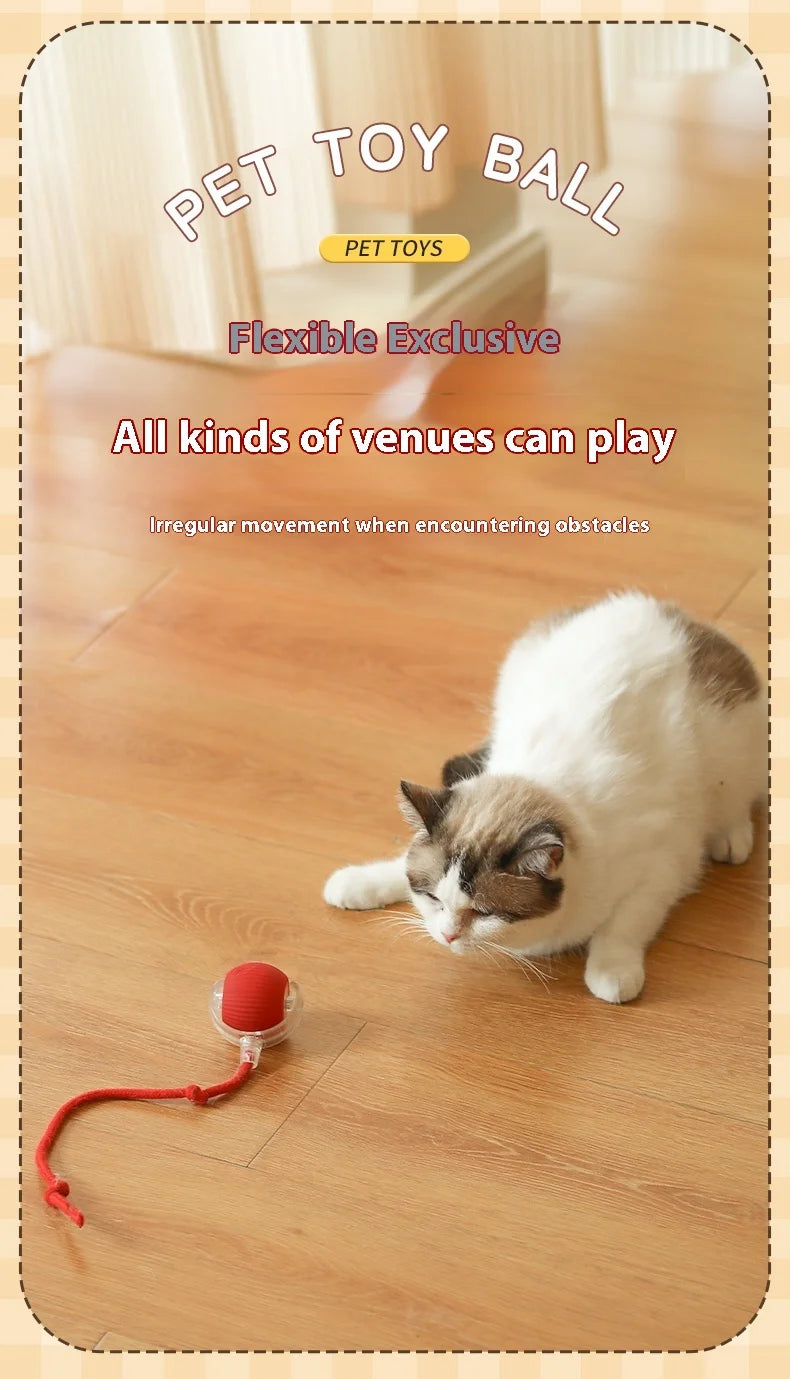 Smart Auto-Rolling Cat Ball Toy – Rechargeable, 1 or 2pcs