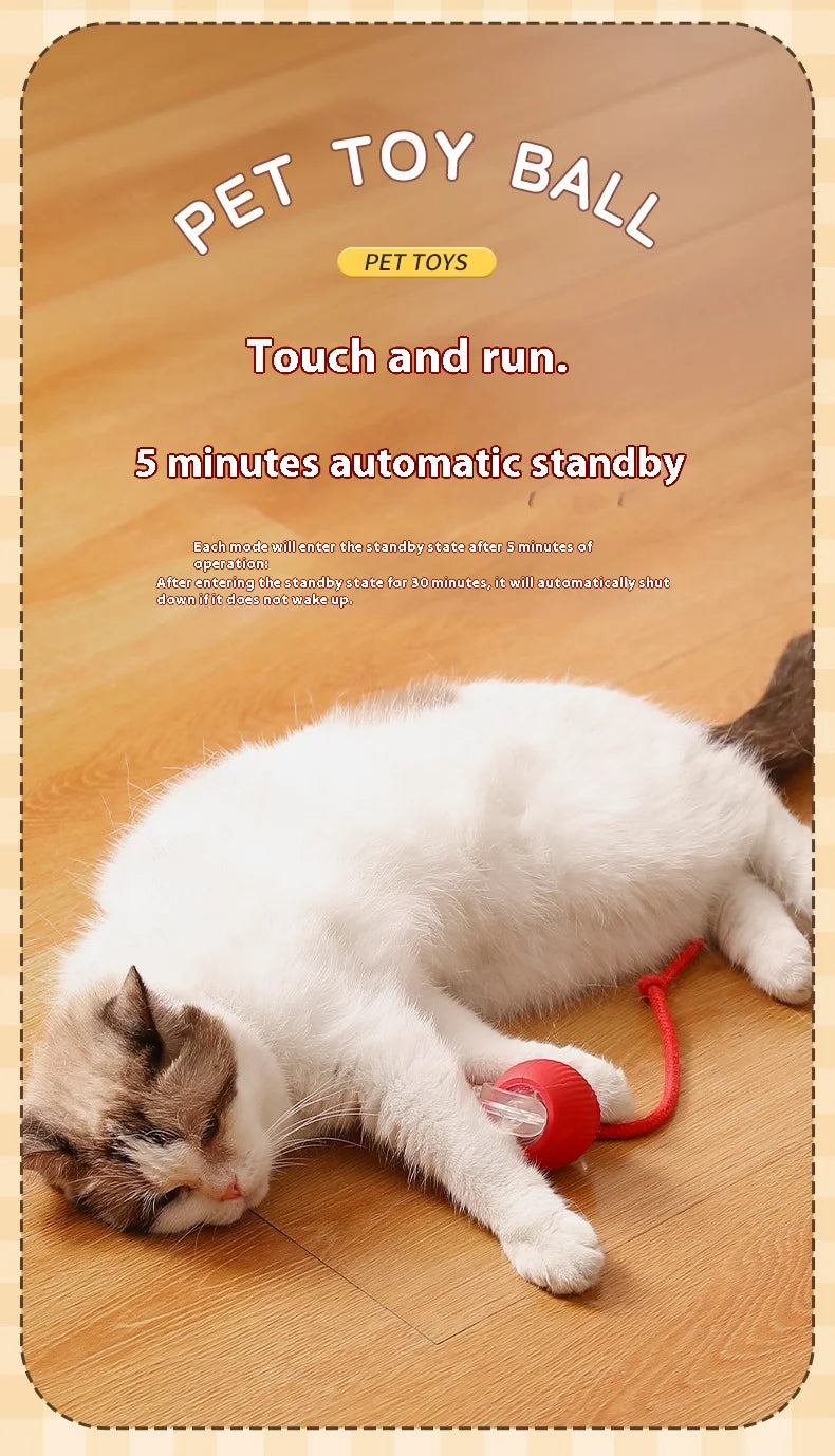 Smart Auto-Rolling Cat Ball Toy – Rechargeable, 1 or 2pcs
