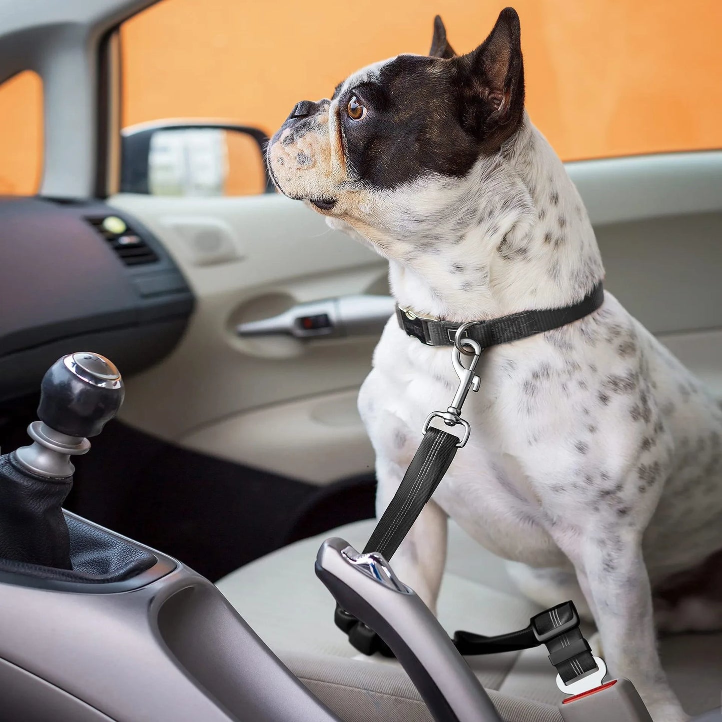 Retractable Dog Car Harness Set with Adjustable Seatbelt, Nylon Pet Safety Tether, Dog Car Harness, With Pet Folding Bowl
