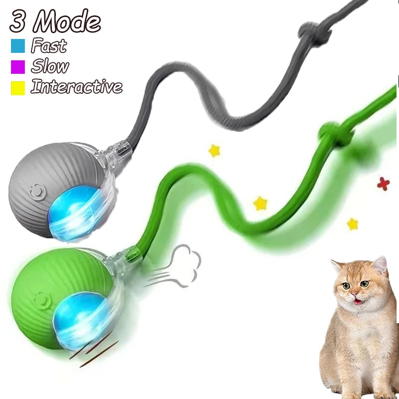 Smart Auto-Rolling Cat Ball Toy – Rechargeable, 1 or 2pcs
