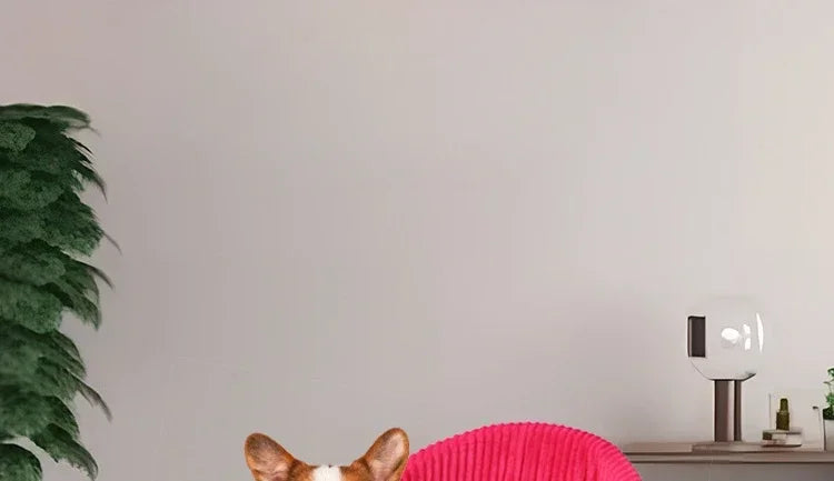 Pet Dog Car Seat Cover Assistant Seat Cushion for Car Seat Dog Beds Washable Travel Dog Transporte