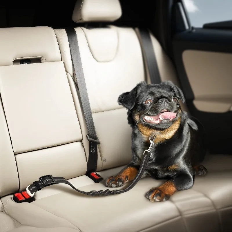 Retractable Dog Car Harness Set with Adjustable Seatbelt, Nylon Pet Safety Tether, Dog Car Harness, With Pet Folding Bowl