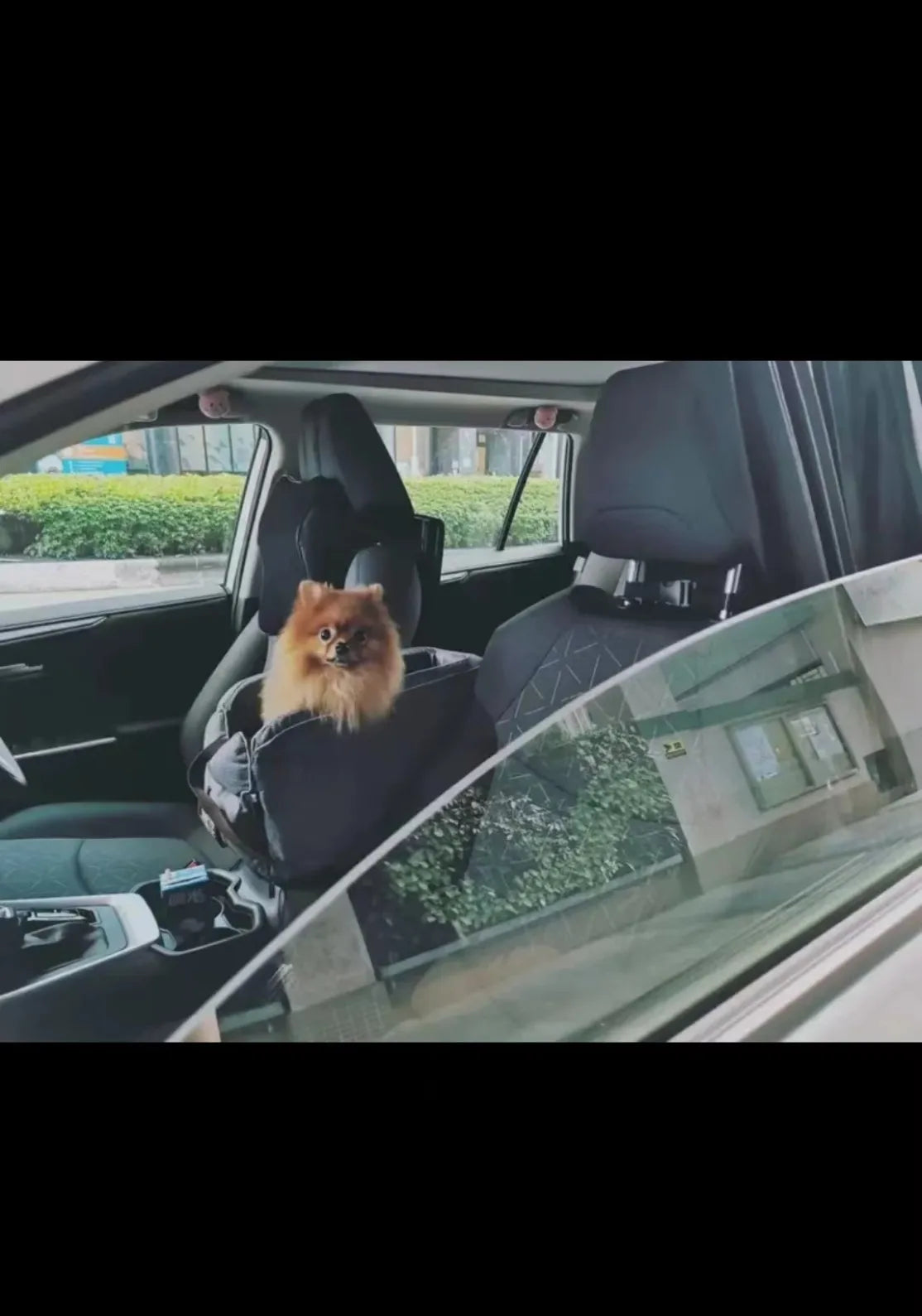 Portable Dog Bed Central Control Car Safety Pet Seat Transport Dog Carrier Protector For Dog Safety Travel Bag Dog Accessories