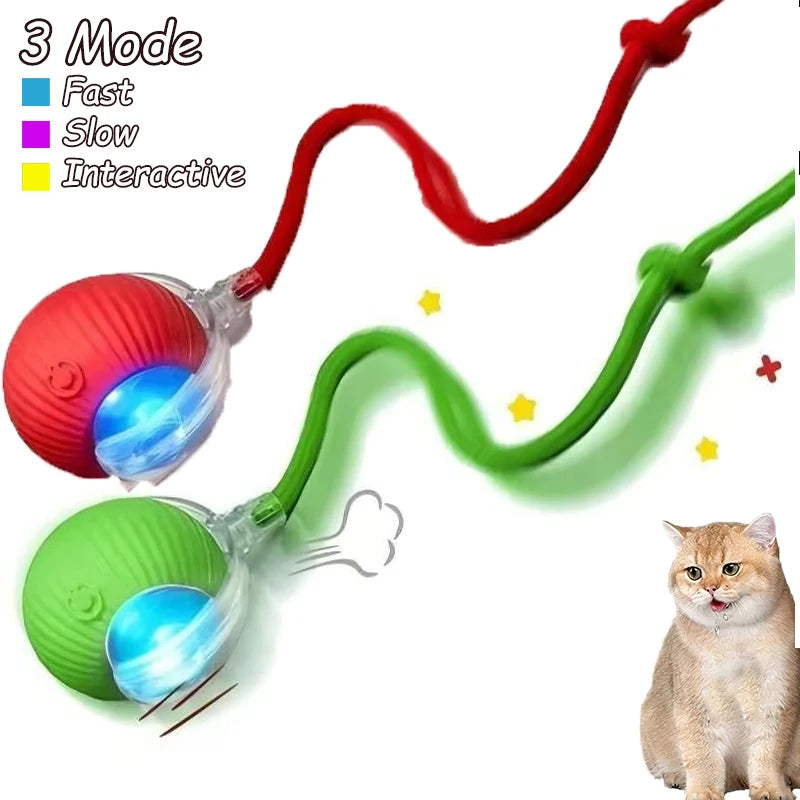 Smart Auto-Rolling Cat Ball Toy – Rechargeable, 1 or 2pcs