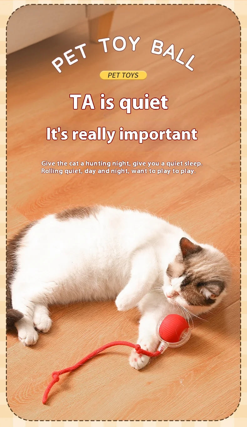 Smart Auto-Rolling Cat Ball Toy – Rechargeable, 1 or 2pcs