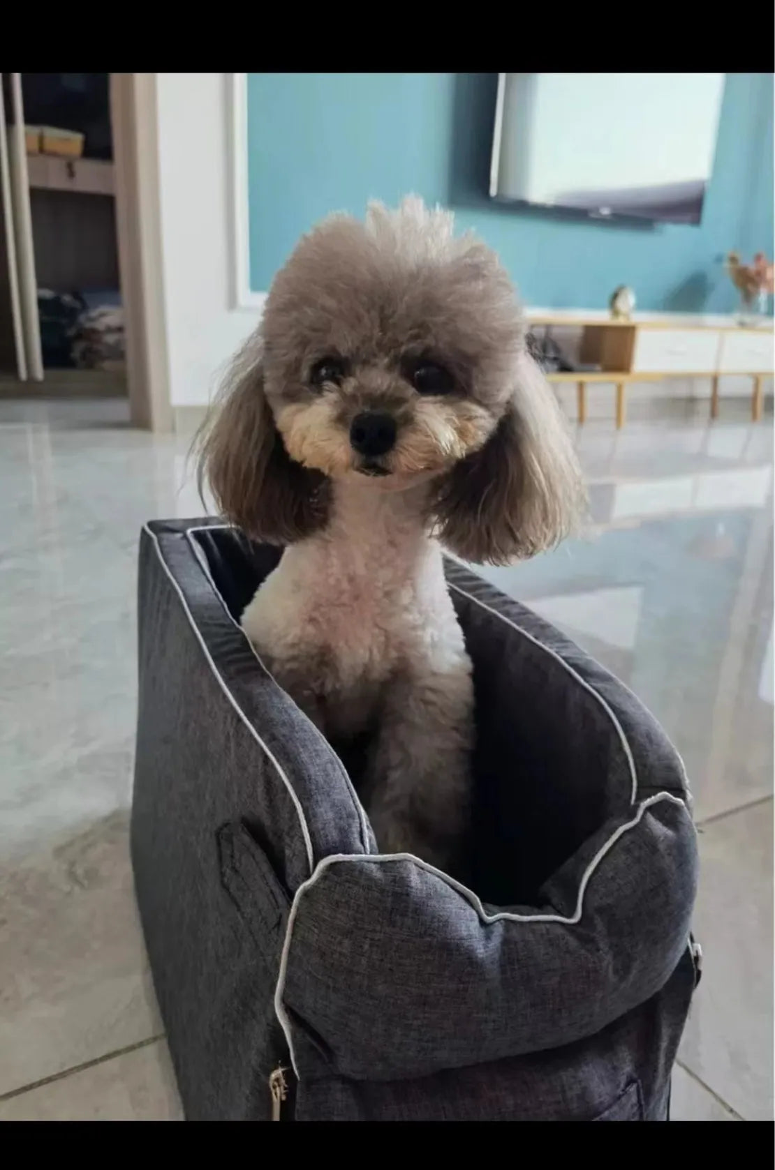 Portable Dog Bed Central Control Car Safety Pet Seat Transport Dog Carrier Protector For Dog Safety Travel Bag Dog Accessories
