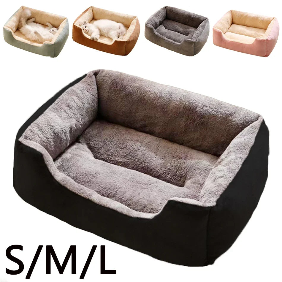 Bed for Cats Pet Products Cushions Kitten Goods Accessories Dog All Home Supplies Things Accessory Habitats Basket House Beds