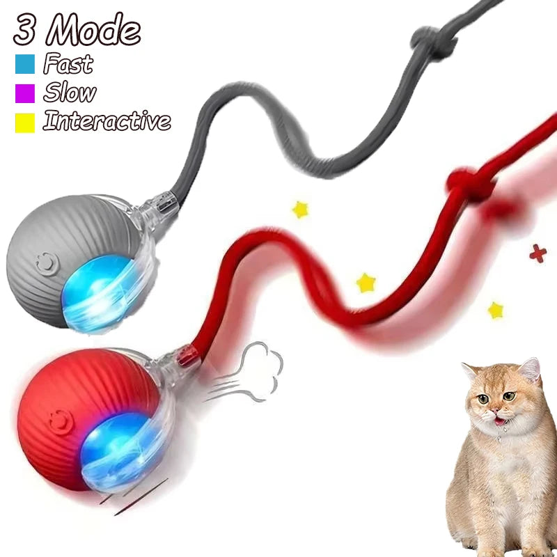 Smart Auto-Rolling Cat Ball Toy – Rechargeable, 1 or 2pcs
