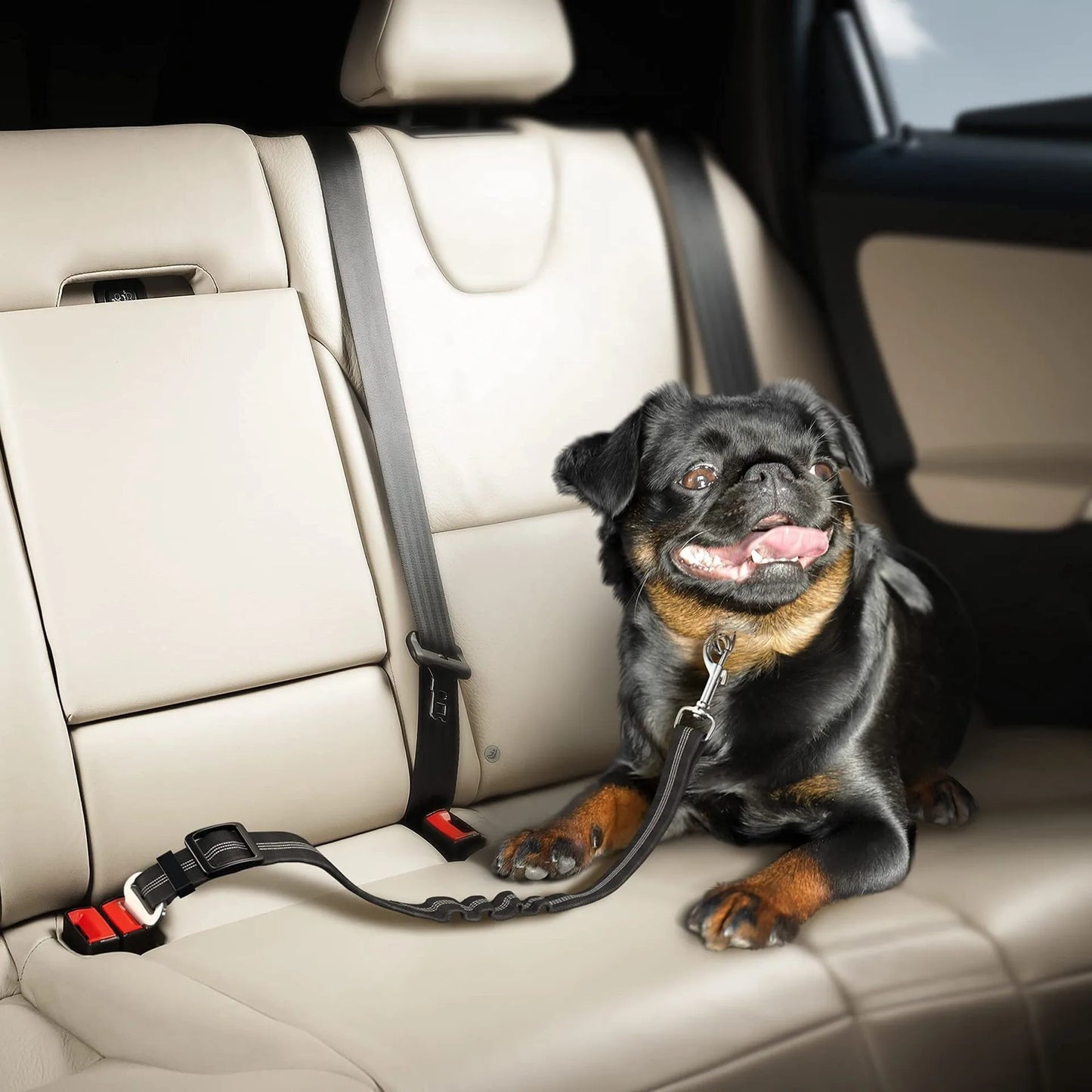Retractable Dog Car Harness Set with Adjustable Seatbelt, Nylon Pet Safety Tether, Dog Car Harness, With Pet Folding Bowl